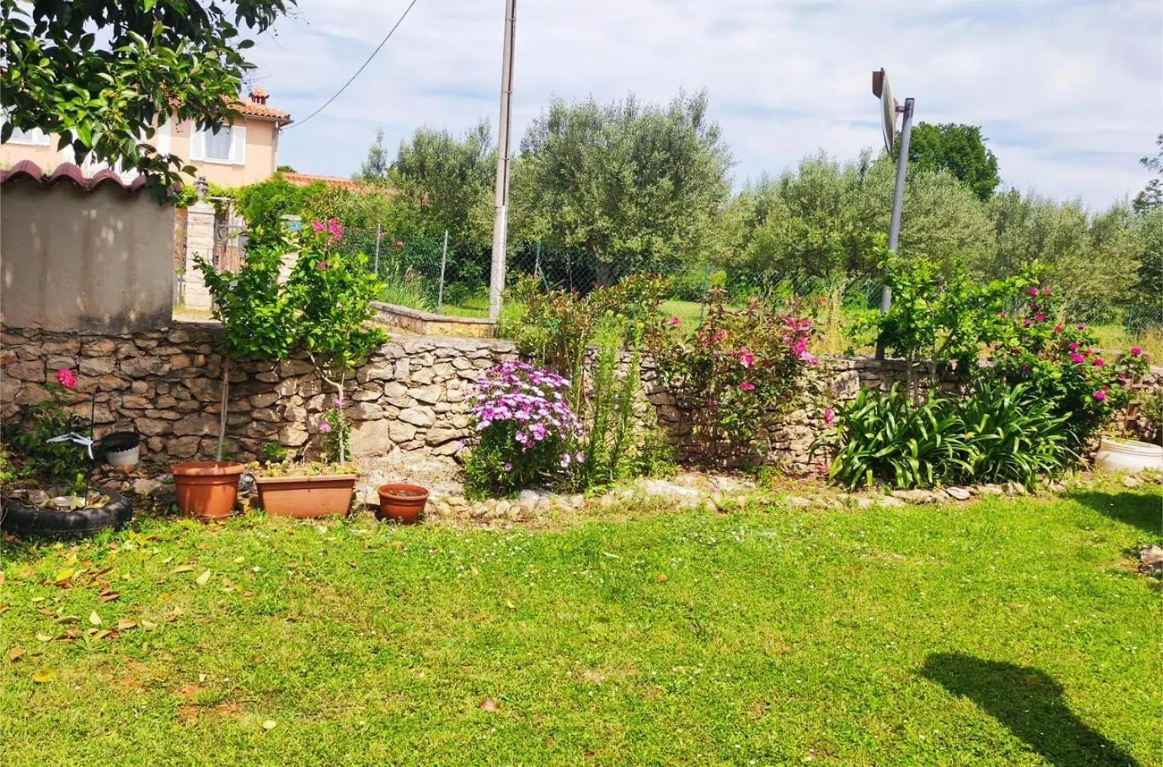 App Marko Umag Daire